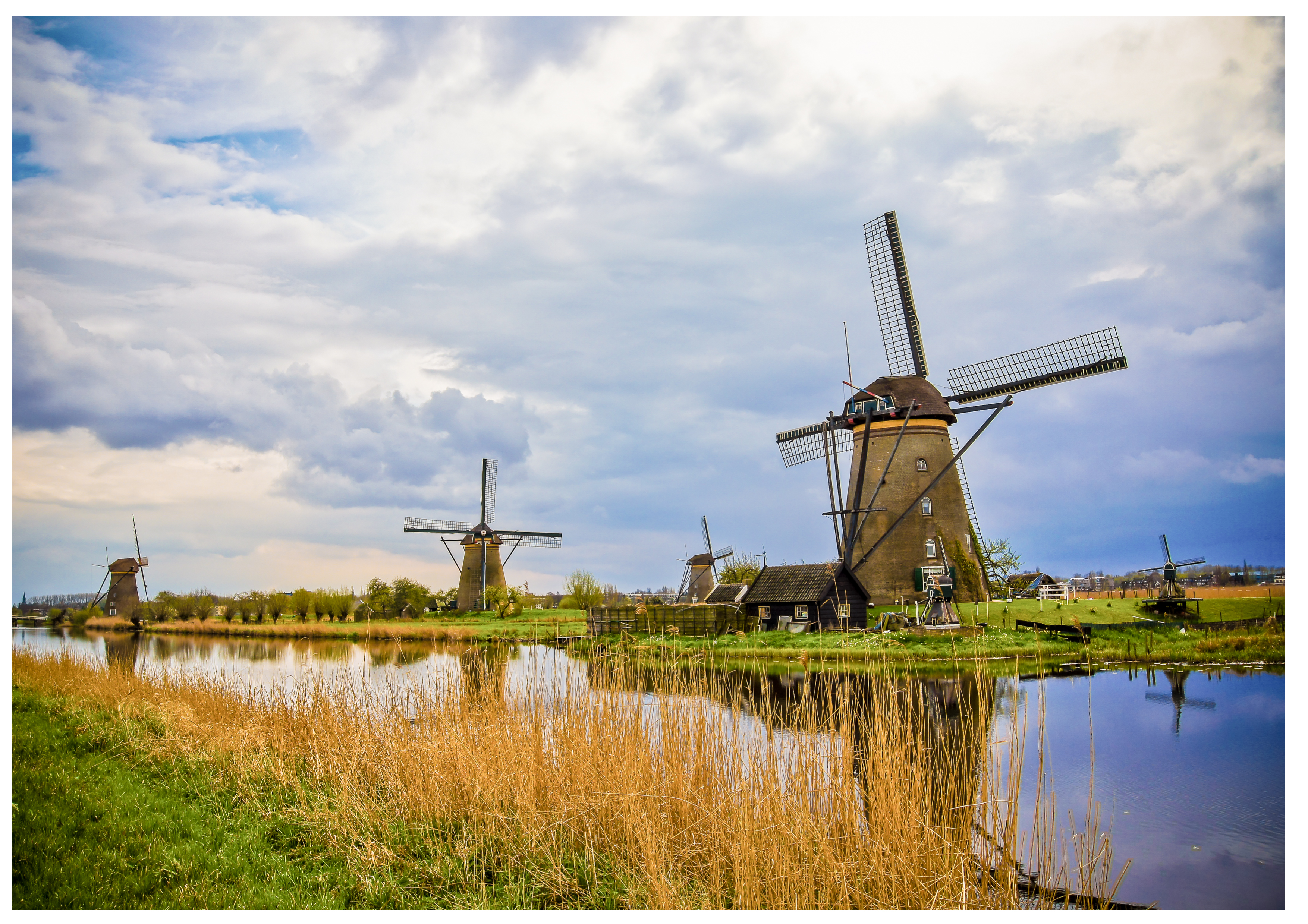 Los molinos de Kinderdijk